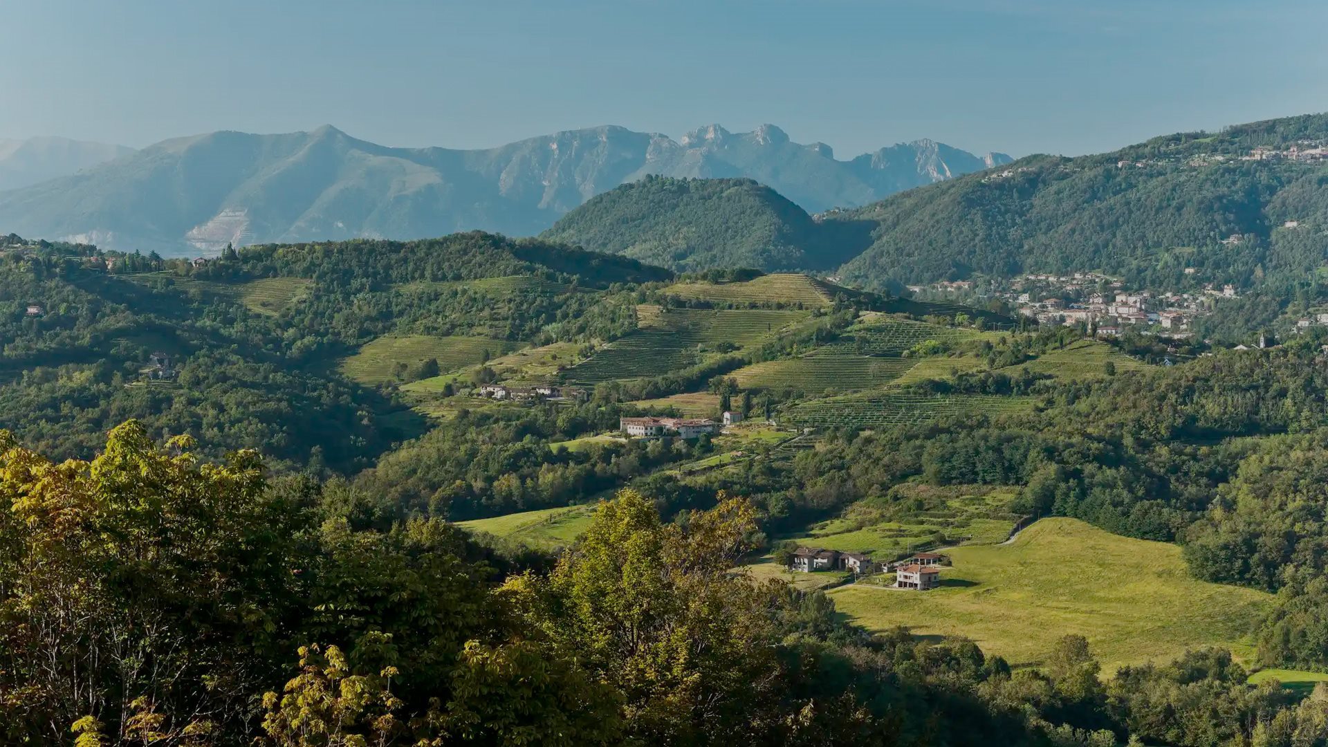 Desalto_Web_Azienda_Home_Brianza(0)